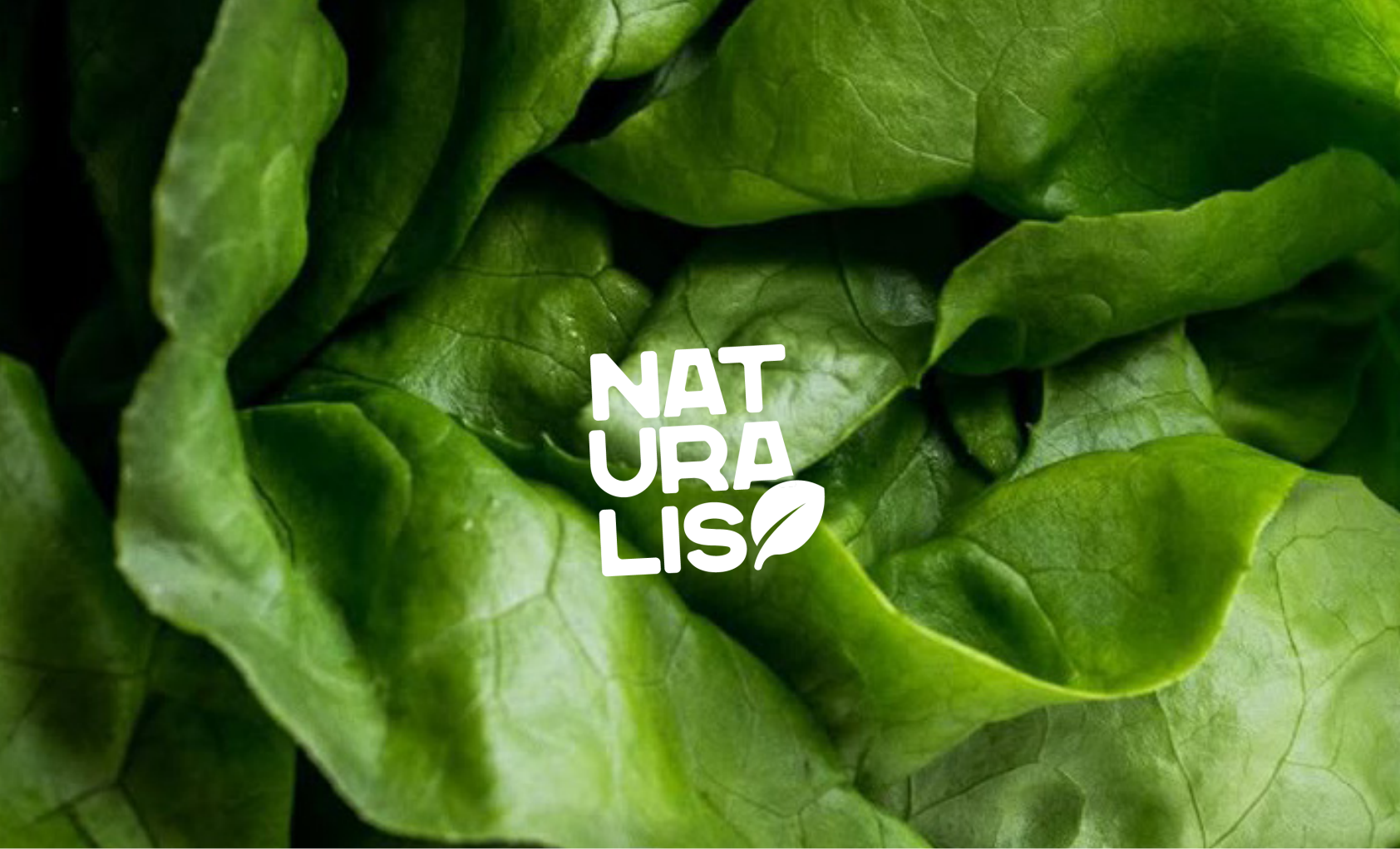 Logo blanc Naturalis au centre de feuilles de salade vertes.